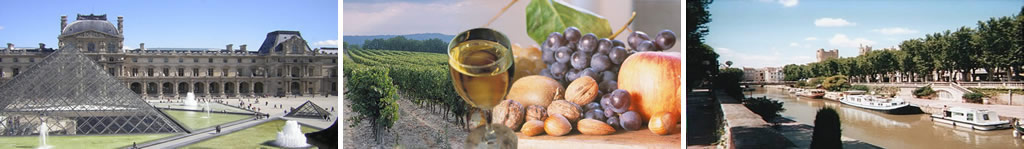 French Tuition Online header